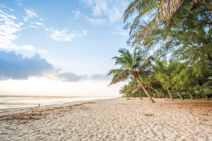 Fly to/from Mombasa and earn 2,000 bonus miles